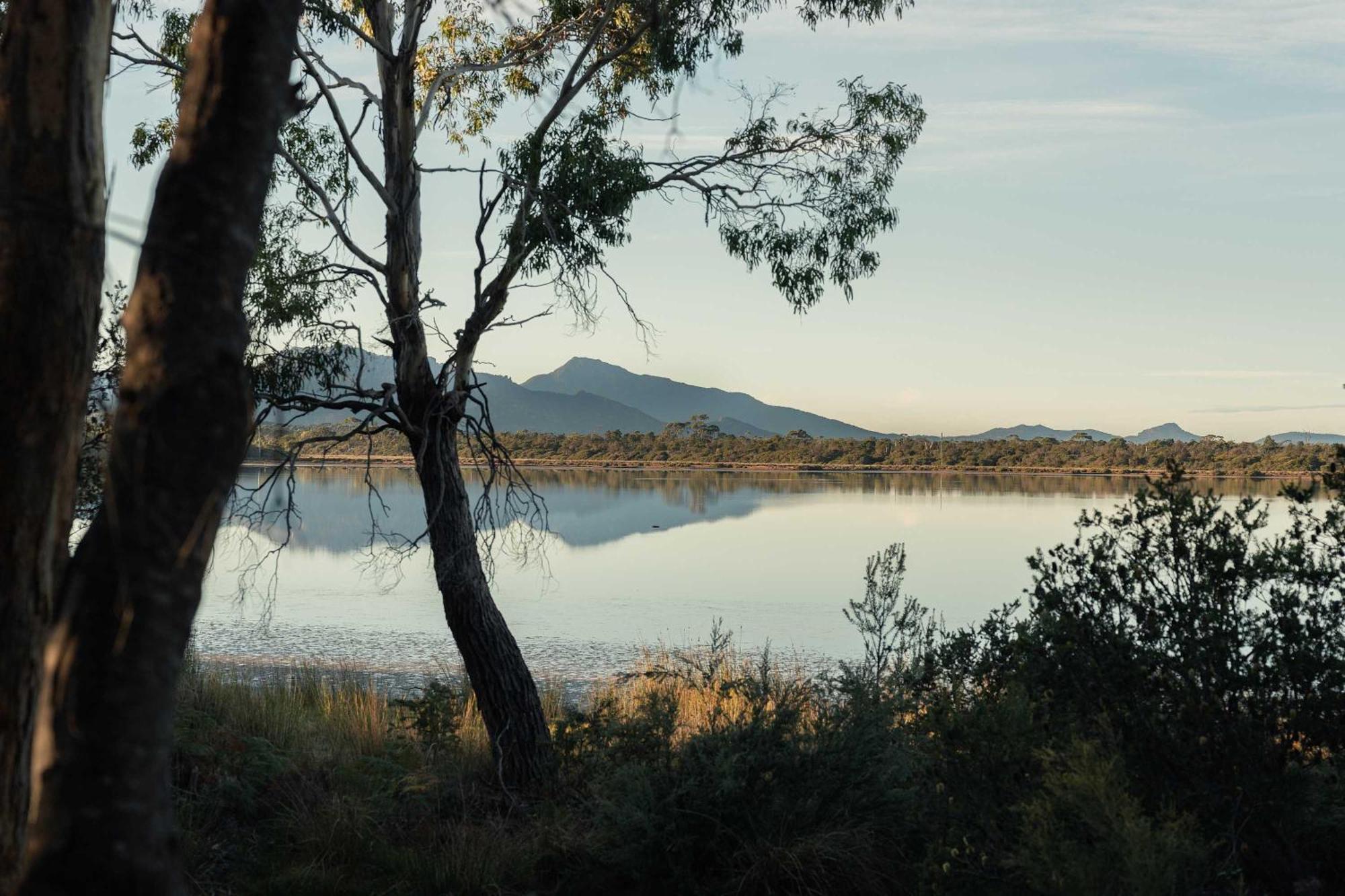 Numie - Freycinet Peninsula - Glamping - Heated - Waterfront 호텔 콜스베이 외부 사진